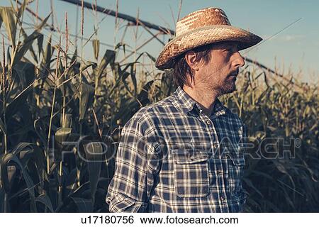 Farmer in corn field View Large Photo Image Stock Photograph - Farmer in corn field. Fotosearch