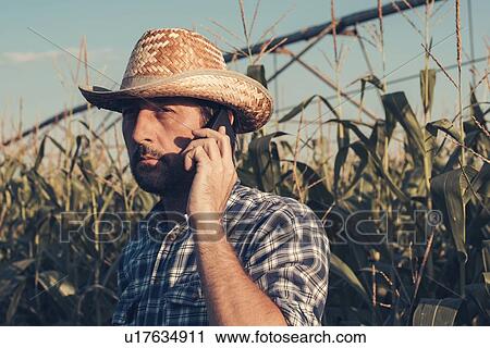 Farmer using mobile phone in corn field View Large Photo Image Stock Image - Farmer using mobile phone in corn field. Fotosearch