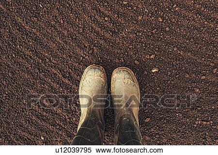 Farmer's rubber boots on ploughed arable land View Large Photo Image Stock Photography - Farmer's rubber boots on ploughed arable land. Fotosearch