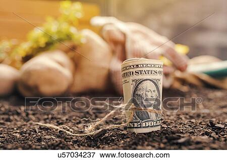 Stock Photo - Farming profits, conceptual image. Fotosearch