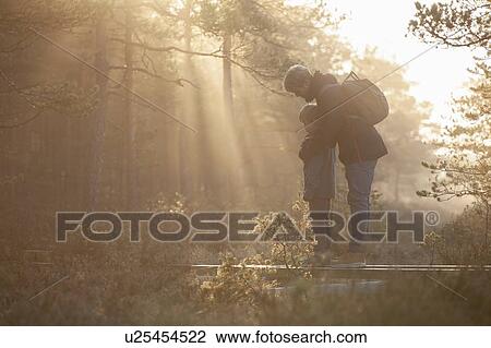 Father and son exploring forest, Finland View Large Photo Image Stock Image - Father and son exploring forest, Finland. Fotosearch
