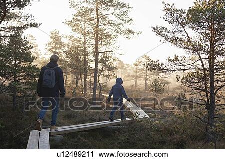 Stock Image - Father and son walking on planks in forest, Finland. Fotosearch