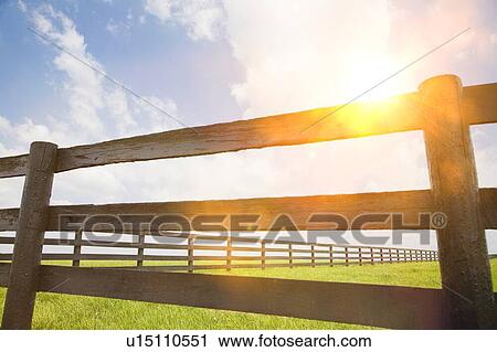 Stock Image - Fence in a grassy field in summer. Fotosearch
