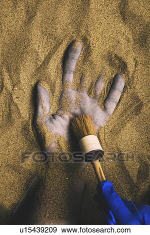 Stock Photo - Forensic expert discovering body buried in sand. Fotosearch