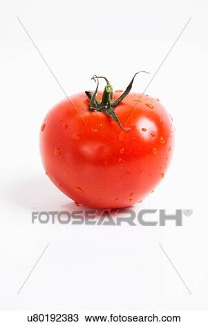 Fresh Red Tomato View Large Photo Image Stock Image - Fresh Red Tomato. Fotosearch