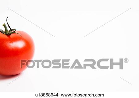 Fresh tomato View Large Photo Image Picture - Fresh tomato. Fotosearch