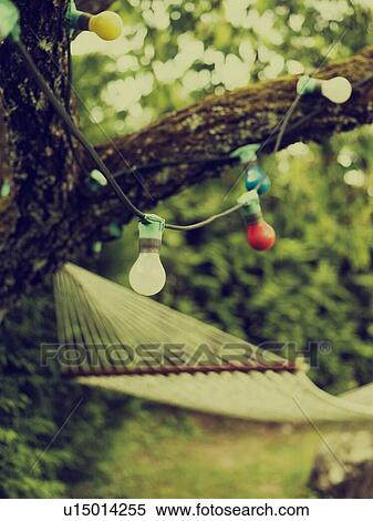 Stock Photography - Garden lights on trees. Fotosearch