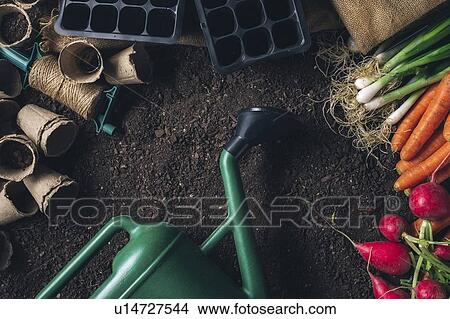 Picture - Gardening, conceptual image. Fotosearch