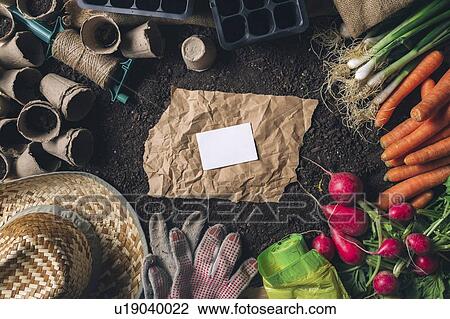 Stock Image - Gardening, conceptual image. Fotosearch