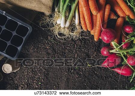 Gardening, conceptual image View Large Photo Image Stock Image - Gardening, conceptual image. Fotosearch