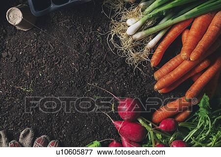 Gardening, conceptual image View Large Photo Image Stock Photo - Gardening, conceptual image. Fotosearch