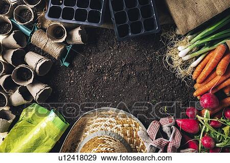 Stock Photo - Gardening, conceptual image. Fotosearch