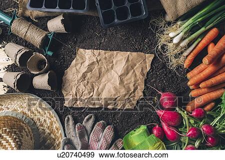Stock Photo - Gardening, conceptual image. Fotosearch