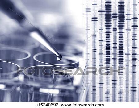 Genetic testing View Large Photo Image Stock Image - Genetic testing. Fotosearch