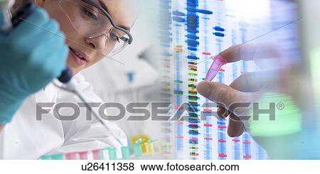 Stock Photo - Genetic testing. Fotosearch