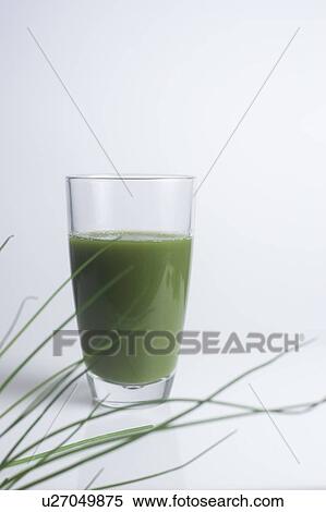 Glass of fresh wheatgrass juice View Large Photo Image Stock Photography - Glass of fresh wheatgrass juice. Fotosearch