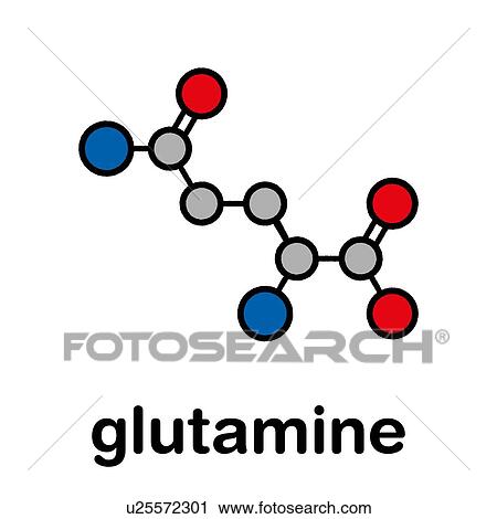 Glutamine amino acid molecule, illustration View Large Photo Image Stock Image - Glutamine amino acid molecule, illustration. Fotosearch