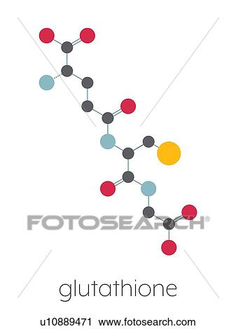 Stock Image - Glutathione molecule, illustration. Fotosearch