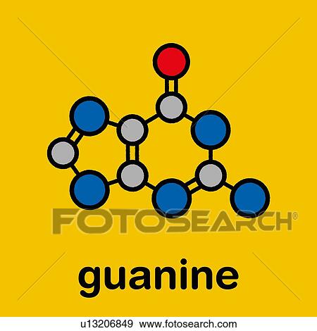 Stock Photo - Guanine purine nucleobase molecule, illustration. Fotosearch