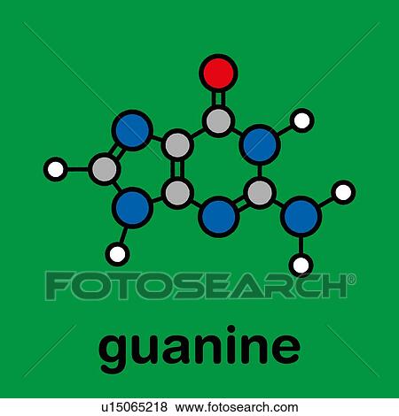 Guanine purine nucleobase molecule, illustration View Large Photo Image Stock Photo - Guanine purine nucleobase molecule, illustration. Fotosearch