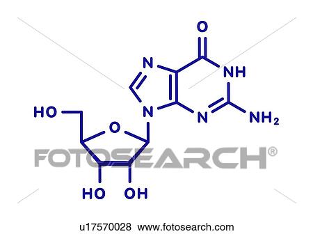 Stock Photo - Guanosine purine nucleoside molecule, illustration. Fotosearch