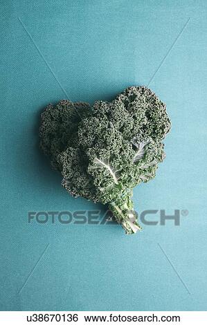 Heart shaped kale leaves View Large Photo Image Stock Photograph - Heart shaped kale leaves. Fotosearch