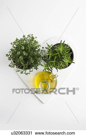Herbs, garlic and olive oil View Large Photo Image Stock Image - Herbs, garlic and olive oil. Fotosearch