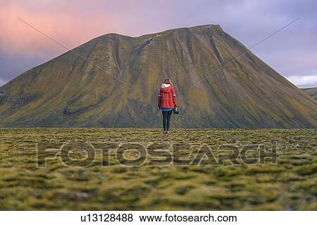 Hiker exploring mossy landscape, Landmannalaugar, Highlands, Iceland View Large Photo Image Stock Photo - Hiker exploring mossy landscape, Landmannalaugar, Highlands, Iceland. Fotosearch