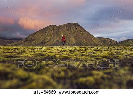 Stock Photo - Hiker exploring mossy landscape, Landmannalaugar, Highlands, Iceland. Fotosearch