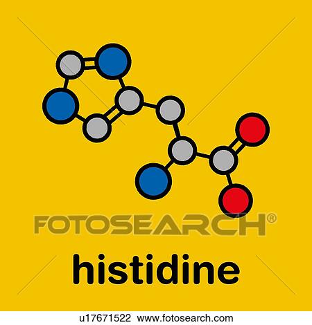 Stock Image - Histidine amino acid molecule, illustration. Fotosearch