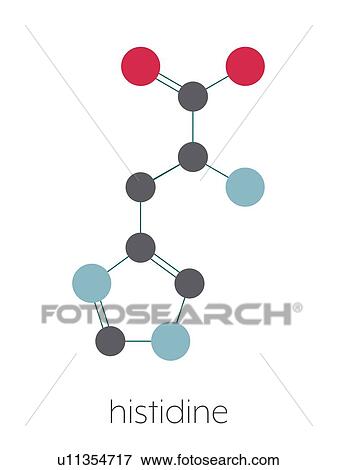 Stock Photo - Histidine amino acid molecule, illustration. Fotosearch