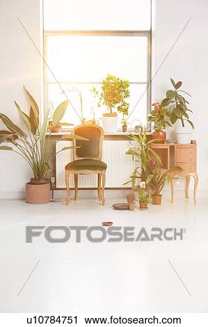 Stock Image - Home office and garden with potted plants. Fotosearch