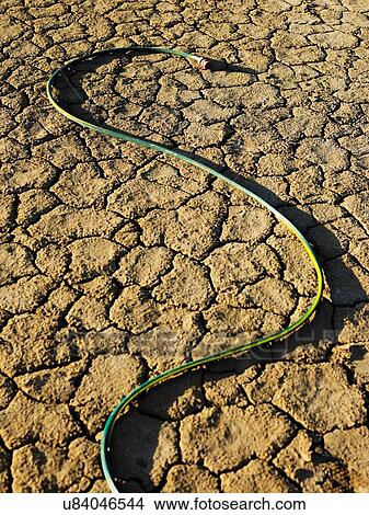 Picture - Hose in desert showing global warming drought. Fotosearch