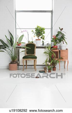 Stock Image - House interior with chair and potted plants by window. Fotosearch
