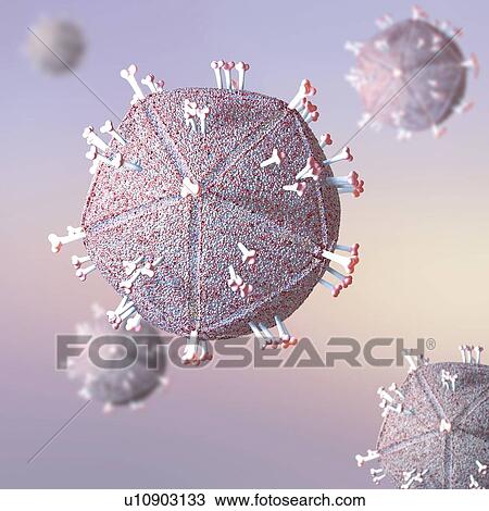 Stock Image - Human Immunodeficiency Virus, illustration. Fotosearch