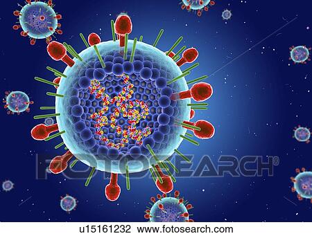 Stock Image - Human respiratory syncytial virus, illustration. Fotosearch