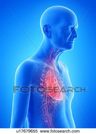 Stock Photography - Illustration of an old man's heart. Fotosearch