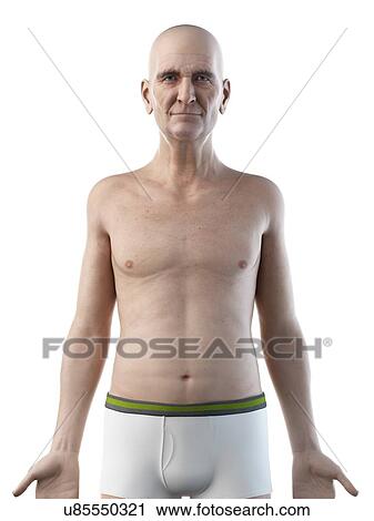 Illustration of an old man's upper body View Large Photo Image Stock Image - Illustration of an old man's upper body. Fotosearch