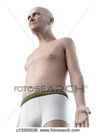 Stock Photograph - Illustration of an old man's upper body. Fotosearch