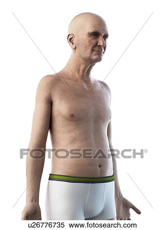 Illustration of an old man's upper body View Large Photo Image Stock Photography - Illustration of an old man's upper body. Fotosearch
