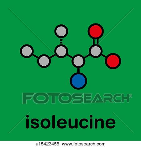 Stock Photograph - Isoleucine amino acid molecule, illustration. Fotosearch