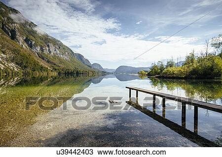 Stock Image - Lake Bohinj, Triglav National Park, Upper Carniola, Slovenia. Fotosearch