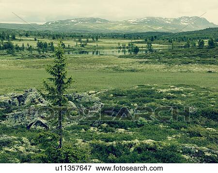 Landscape in countryside View Large Photo Image Stock Photo - Landscape in countryside. Fotosearch