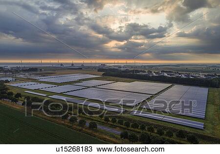 Stock Image - Large solar farms, Andijk, Noord-Holland, Netherlands. Fotosearch