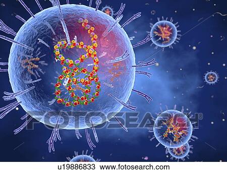 Stock Image - Lassa virus, cut-away illustration. Fotosearch
