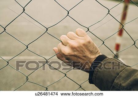 Picture - Male hand on chainlink fence. Fotosearch