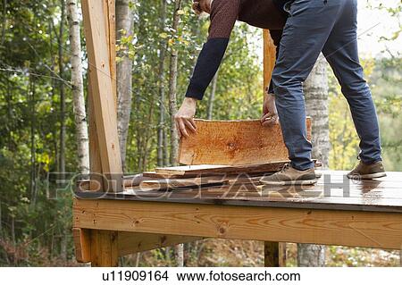 Picture - Man building treehouse in garden. Fotosearch