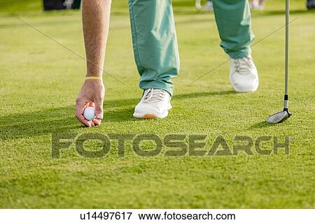 Stock Photo - Man placing golf ball on green on golf course. Fotosearch