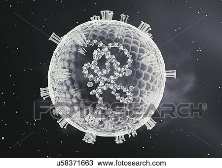 Measles virus, cut-away illustration View Large Photo Image Stock Image - Measles virus, cut-away illustration. Fotosearch