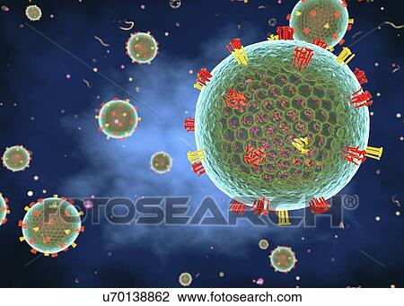 Stock Image - Measles virus, illustration. Fotosearch